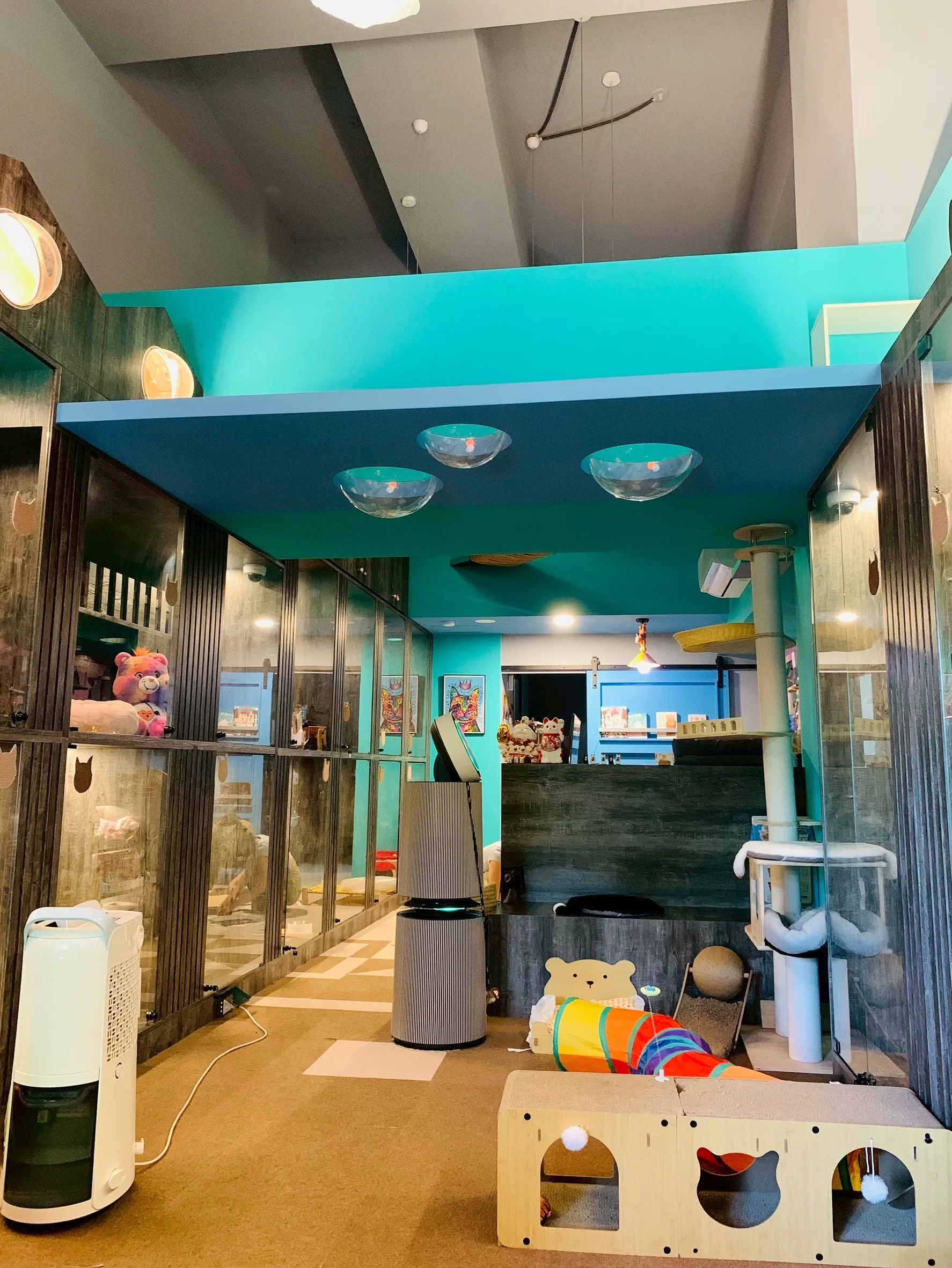 LINE_ALBUM_MaAh 喵品行旅🐈_250511_4