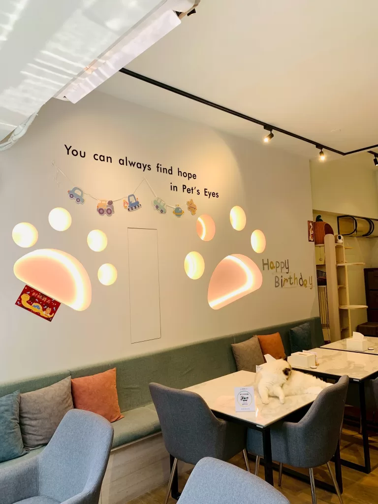LINE_ALBUM_Paws cafe_250530_15
