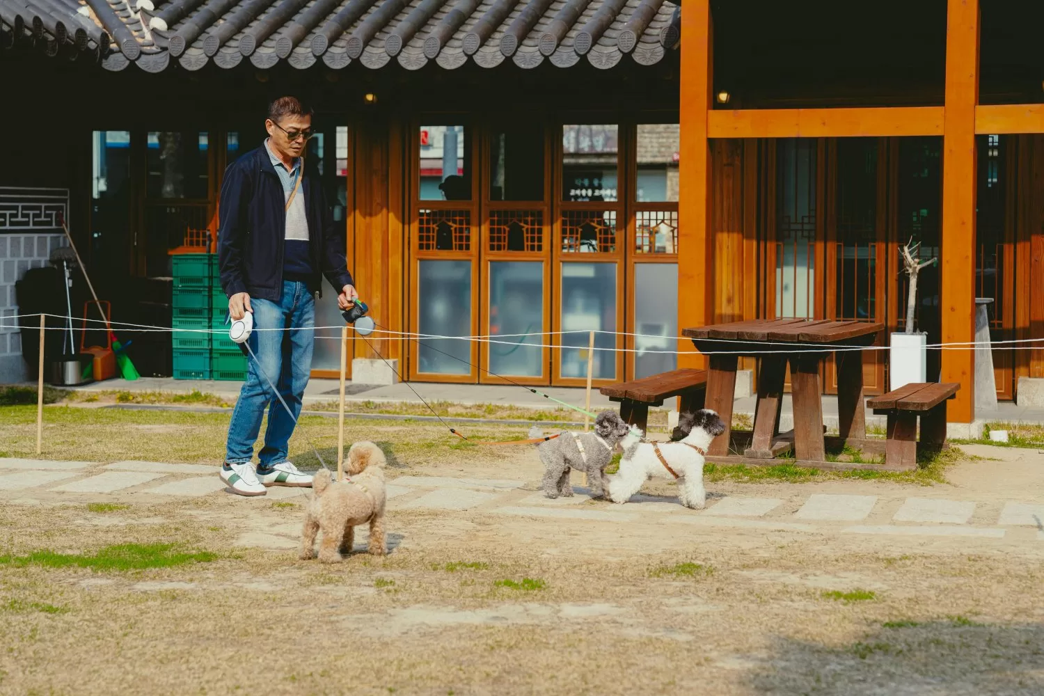 韓國人牽著毛孩散步