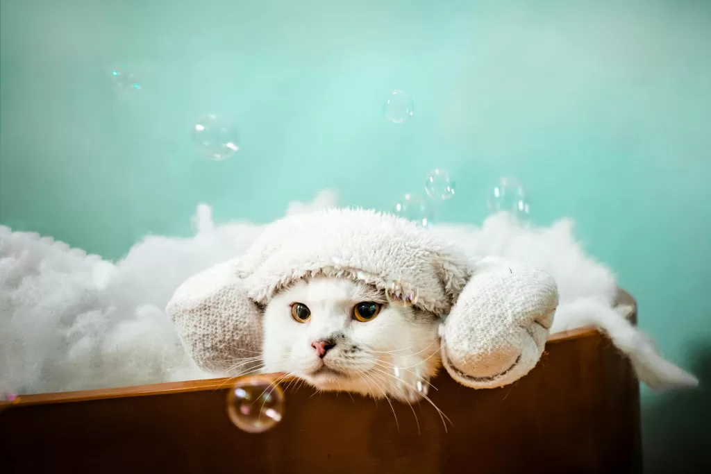 A white cat wrapped in a towel relaxes in a bubble bath with visible bubbles creating a cute spa moment.