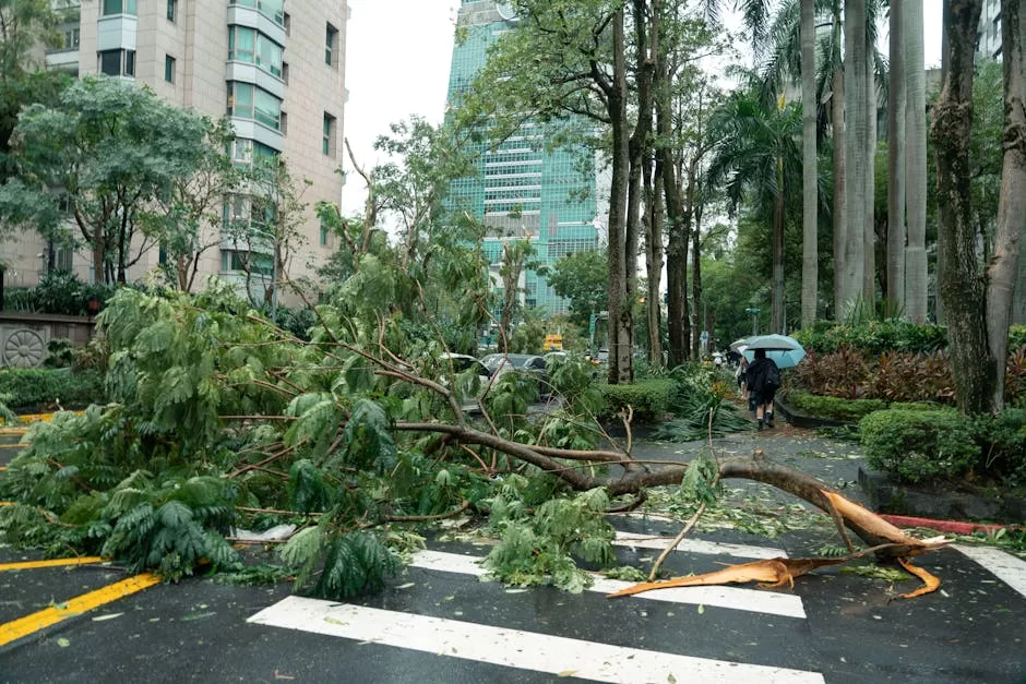 Debris from typhoon damage including fallen trees on a city street in Taipei, Taiwan.
