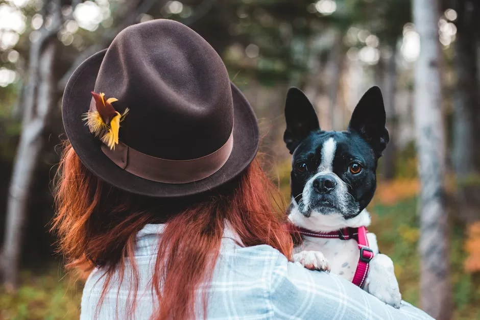 A woman in a hat holding a Boston Terrier outdoors, surrounded by nature.