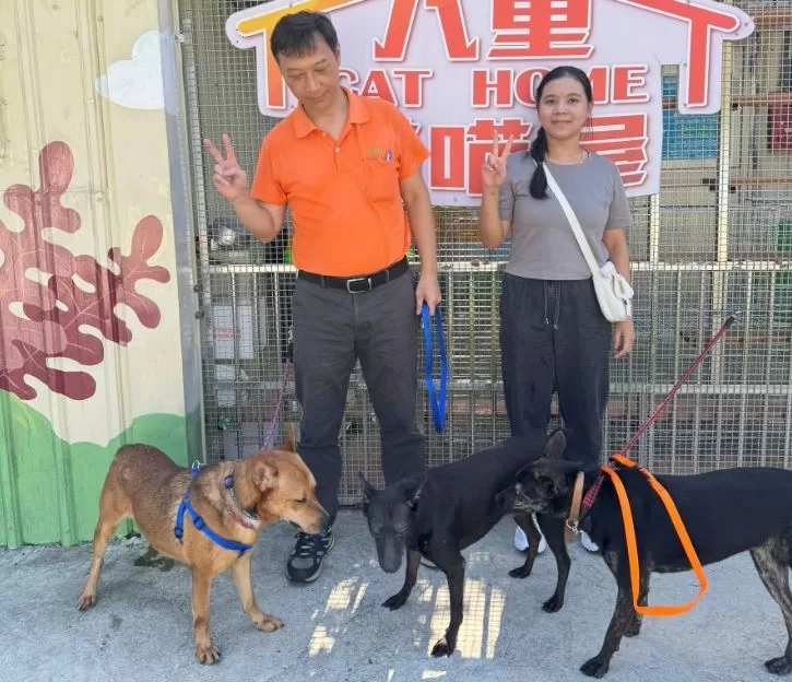 0cd23d5c-18c9-4be0-8763-cd557c32104b