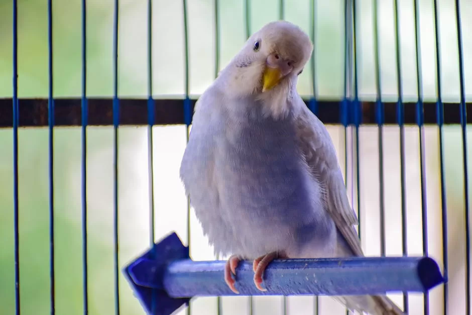 A charming white budgerigar perched on a bar inside its cage, displaying its soft feathers.