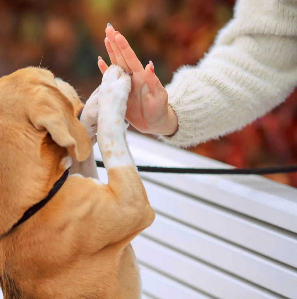 pexels-valeriya-14116508