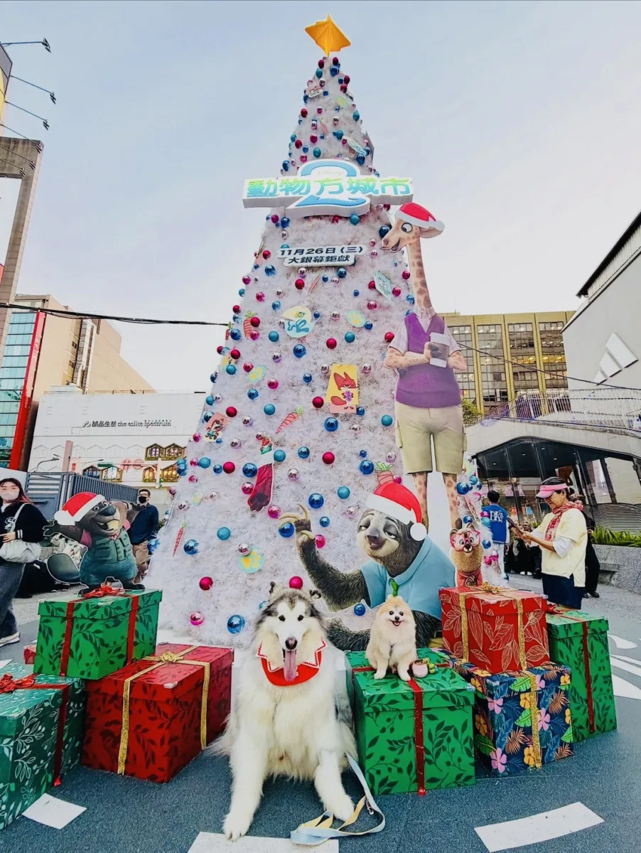 中山動物方程市哈士奇