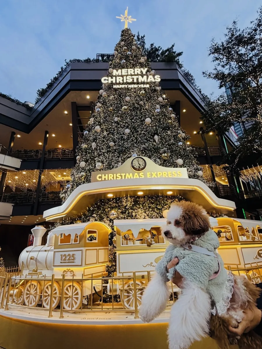 信義新光三越A1103