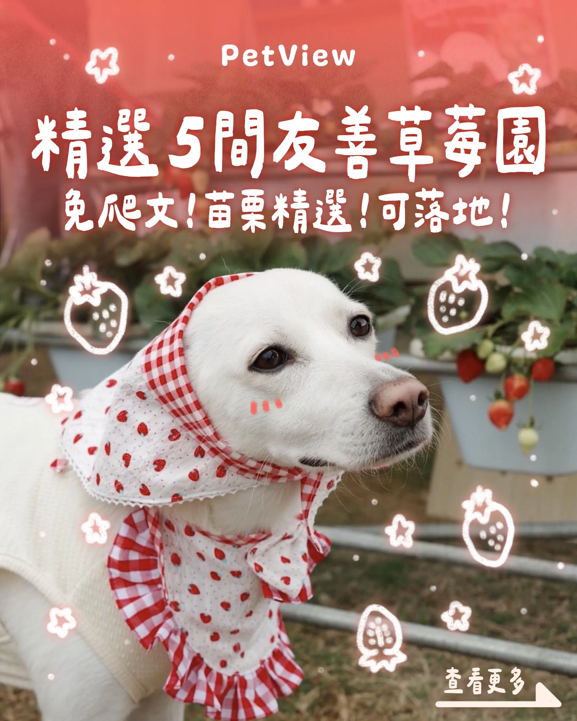 1D1D5D4D-DFF6-4A2D-AA52-317CBAD3487F