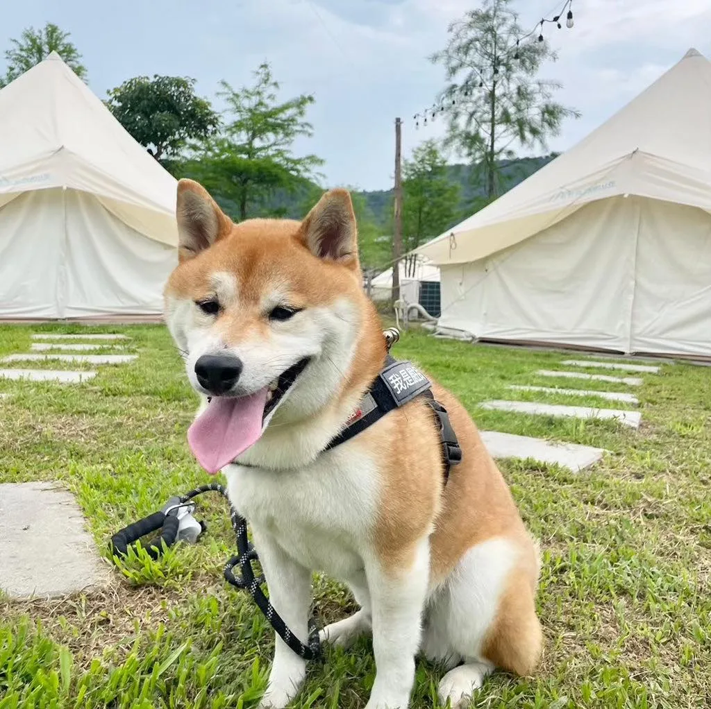 491695520_1119653253510677_9005960383369202710_n